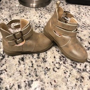 Crazy 8 ankle boots